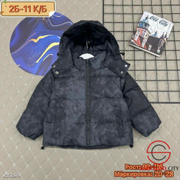 Куртка детская весенняя с капюшоном