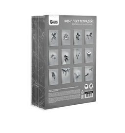 Комплект тетрадей 48 л. А5 клетка/линия, на скрепке, Schoolformat ЖИДКИЙ МЕТАЛЛ мелованный...