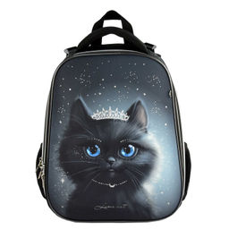 Ранец школьный Феникс+ арт.68241/ 4 ПРИНЦЕССА ЛУНА