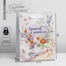 Цена за 2 шт. Пакет подарочный ламинированный, упаковка, «Лучшему учителю», MS 18×23×10 см