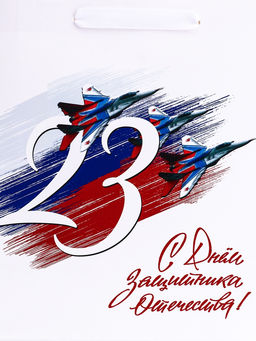 Цена за 2 шт. Пакет подарочный вертикальный С 23 Февраля!, ML 23?27?11.5 см