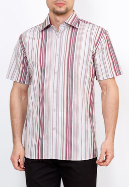 Сорочка мужская короткий рукав GREG Gb361/309/61/Z/1  фото 7