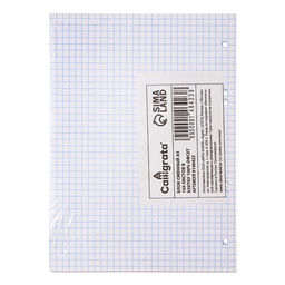 Сменный блок для тетрадей на кольцах А5, 160 листов в клетку, Calligrata