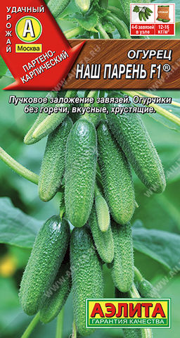 Огурец Наш парень F1 (2030
