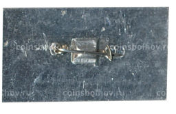 Значок Владимир