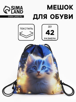 Мешок для обуви «Киса», на стяжке, 36×0.5×42 см