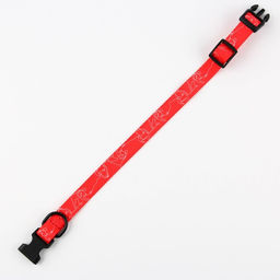 Ошейник One line, застёжка - фастекс, 2 см 25-40 см - Пушистое счастье фото 8