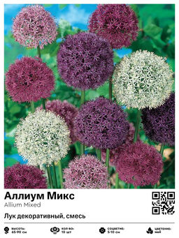 Аллиум Mixed (Лук декоративный) - Голландские луковицы фото 2