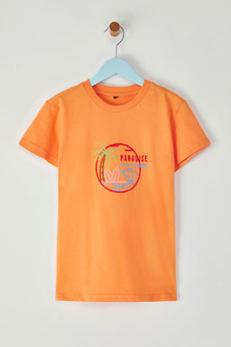 Lacivert Erkek Cocuk %100 Pamuk Palmiye Nak?sl? Regular Kal?p K?sa Kol Orme T-Shirt TKDSS25TS00049 - Trendyolmilla фото 4