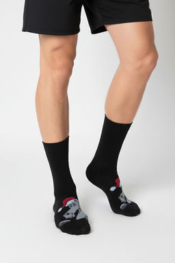 Носки мужские Лукас