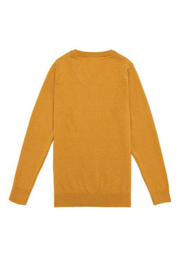 U. S. Polo Assn Горчичный трикотажный свитер для мальчика с круглым вырезом - U.s. polo assn фото 5