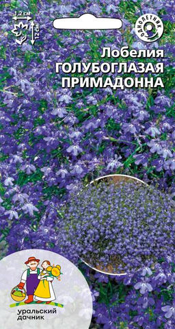 Лобелия ГОЛУБОГЛАЗАЯ ПРИМАДОННА F1