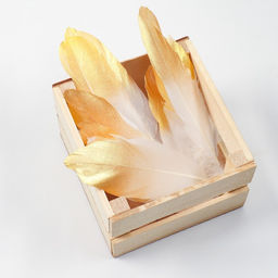 Перья для декора, золото , частичная окраска 13-15 см 10 шт - UPAK LAND фото 3