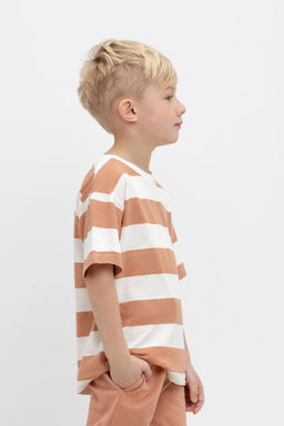 Crockid _ КР 302461/пробковое дерево,полоска к474 фуфайка для мал  фото 4