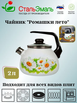 Чайник для плиты 2,0л 4с210я Ромашки лето белосн. сф. со св.