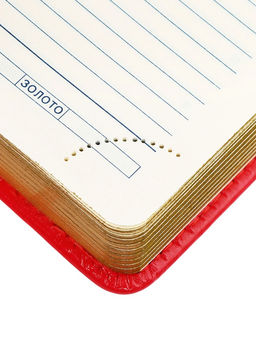 Ежедневник НЕдатированный А5, 136 листов в линейку, кожзам Небраска, золотой срез, красный - Calligrata фото 12