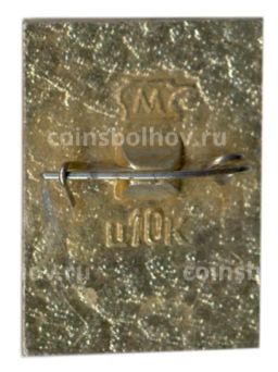 Значок Зеленоградск