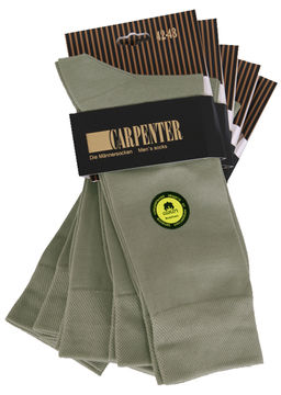 Носки мужские (в упаковке 5 пар) CARPENTER Cr-6/14 хаки фото 2