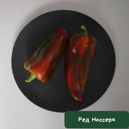 Перец Ред Носера