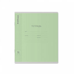 Цена за 200 шт. Тетрадь школьная ученическая ErichKrause Классика Visio зеленая, 18 листов, клетка (в плёнке по 10 шт.)  фото 4