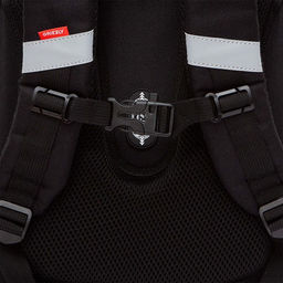 RAz-587-16 Рюкзак школьный - Grizzly фото 24