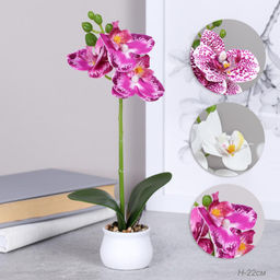 Цветочная композиция Орхидея 22 см / LM-796 /уп 12/144/