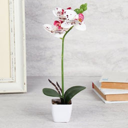 Цветочная композиция Орхидея 29 см / LM-1785 /уп 12/144/ - Галеонтрейд фото 2