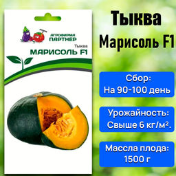 Тыква Марисоль - Партнёр фото 2
