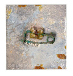 Значок Леся Украина -100 лет