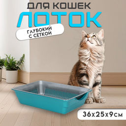 Туалет глубокий с сеткой 36×25×9 см, серый/бирюзовый