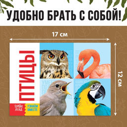 Обучающие книги набор «Удивительный мир» 6 шт. по 20 стр.