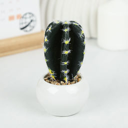 Цветочная композиция Кактус / WER-10 /уп 12/192/ микс