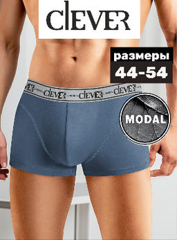 Трусы мужские шорты МОДАЛ - Clever wear фото 15