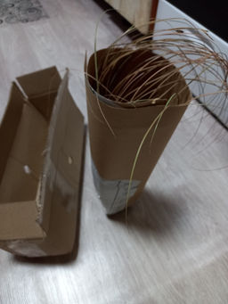 Осока Милк Чоколейт