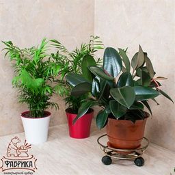 Подставка для цветов 12-002 напольная на колесах - Фабрика интерьерной ковки фото 3