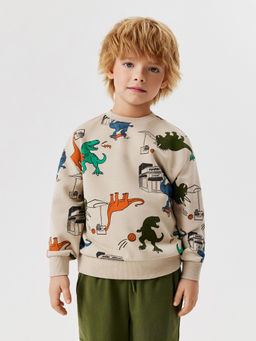 ACOOLA / Джемпер детский для мальчиков Dubbo бежевый