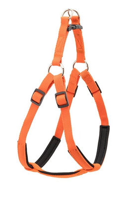 ВИА Шлейка Сити с мягкой подкладкой XL оранжевая 25мм, ОШ 84-90см, ОГ 88-100см 99ред99 031526оранж