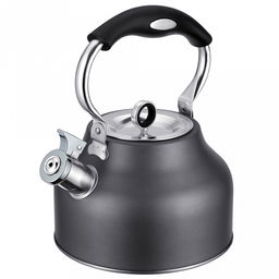 Чайник из нержавеющей стали Tea 2,5л, д23см, h19см, s0,34мм, дно s2мм, со свистком, капсульное дно, эргономичная пластмассовая ручка, цветная коробка, Regent (Китай) Подходит для всех видов плит, включая индукционную