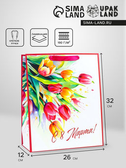 Цена за 2 шт. Пакет подарочный ламинированный вертикальный «С праздником!», M 25.5×30×9 см