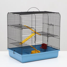 Клетка для грызунов Сеня 3-1, 49 x 36 x 51 см, микс цветов