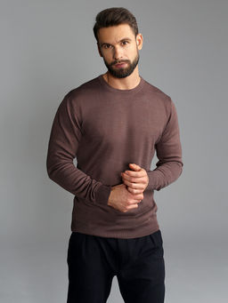 Джемпер мужской GREG G121-EV (какао)  фото 7