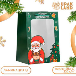 Пакет подарочный новогодний ламинированный, с окномДед мороз, 18?25?13 см