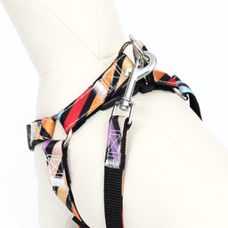 Комплект амуниции двухслойный, размер L, поводок 120 х 2 см, ОШ 31-45 см , ОГ 35-52 см, разноцветный - Пижон фото 4