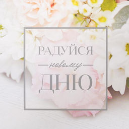 Цена за 5 шт. Коробка для печенья, кондитерская упаковка с пластиковой крышкой, Радуйся новому дню, 18?18?3 см