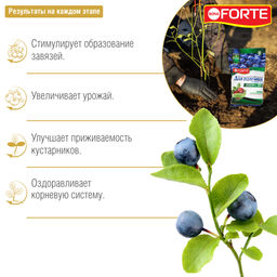 Компл. мин. удобр. "Bona Forte" Для голубики и лесных ягод с цеолитом, пакет 2,5кг