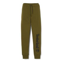 Брюки Timberland Sweatpant Kennebeck River Lenear Logo Regular оливковые  фото 2
