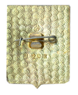 Значок Кунгур