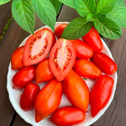 Томат ГРЕЧАНКА F1 Надёжный! Устойчив к фузариозному увяданию! Вкуснятина! - Уральский дачник фото 2