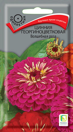 Цинния георгиноцветковая Волшебная роза (ЦВ) (1) 0,4гр. - Поиск фото 2