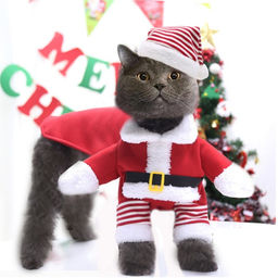 Новогодний костюм для собак Клаус, размер M (ДС 30, ОГ 40 см) - Пижон фото 2